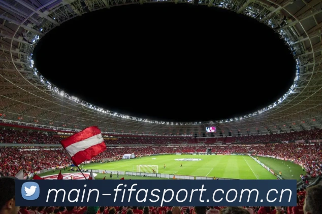 FIFA官方认证